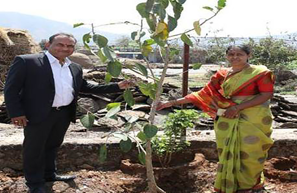 30) CSR Activities –Tree Plantations in schools areas (2)