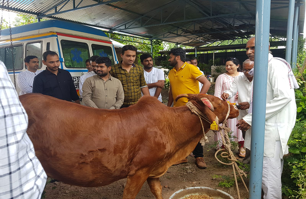 76) Go Conservation Service Work (1)