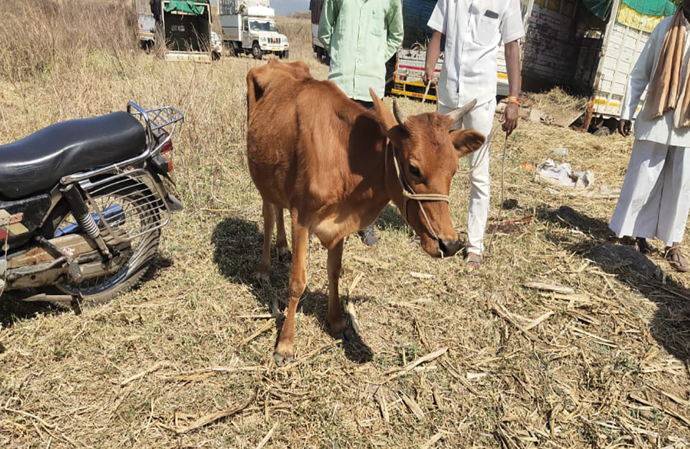 76) Go Conservation Service Work (3)